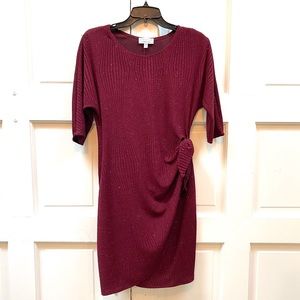 Sparkling Burgundy Dress- Petite Medium